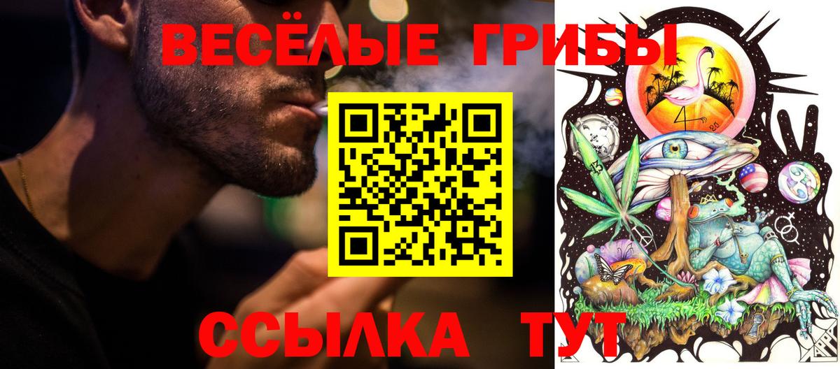 Богородск  цены   Вход с VPN  Галлюциногенные грибы GOLDEN TEACHER 