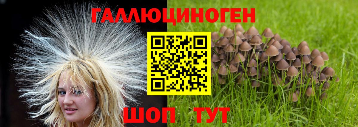 Псилоцибиновые грибы Magic Shrooms Богородск
